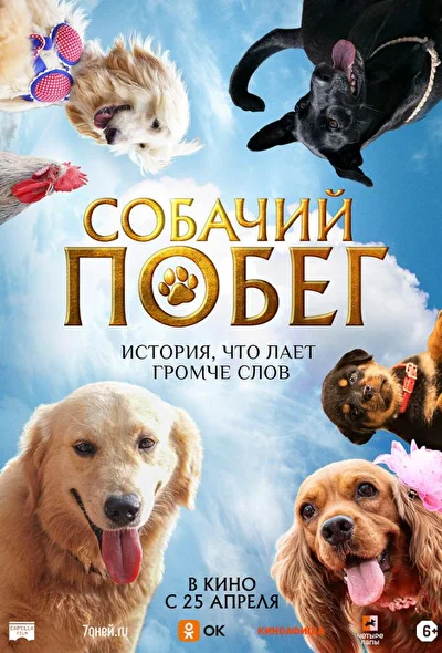 Постер к фильму
